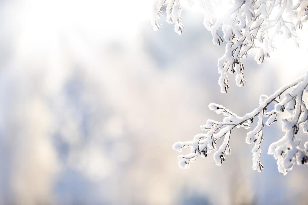 hiver