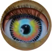 monoeil logo