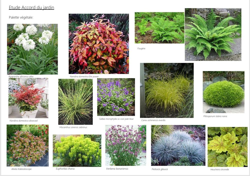 Plan du Jardin 4
