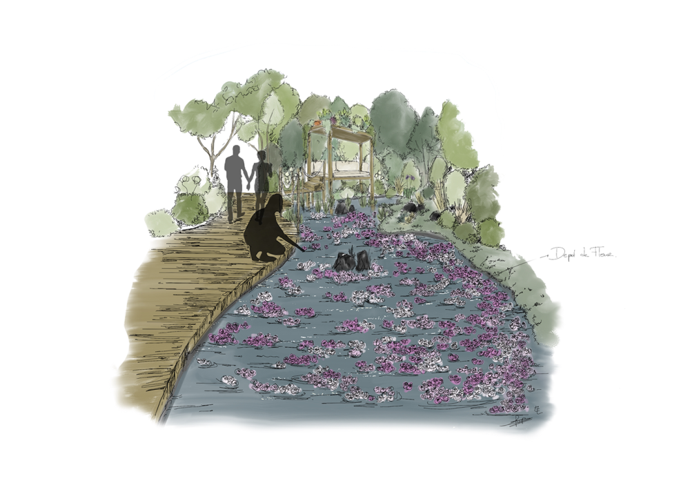 Concours du Carré des Jardiniers 2025 - LORGE PAYSAGE (2)